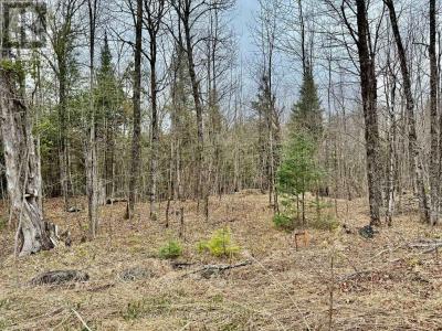 885 CLEVELAND ROAD, Tudor And Cashel (tudor Ward), Ontario K0K 1Y0, Kanada