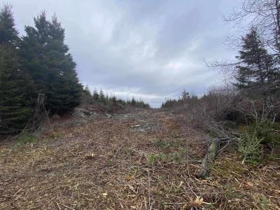 LOT 22 & 23 TRAFALGAR RD HIGHWAY 374, Sheet Harbour, Nova Scotia B0J 3B0, Canada
