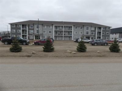 23 HOWDEN AVENUE, Neepawa, Manitoba R1N 3Z4, Canada