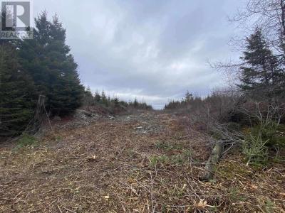LOT 22 & 23 TRAFALGAR RD HIGHWAY 374, Sheet Harbour, Nova Scotia B0J 3B0, Canada