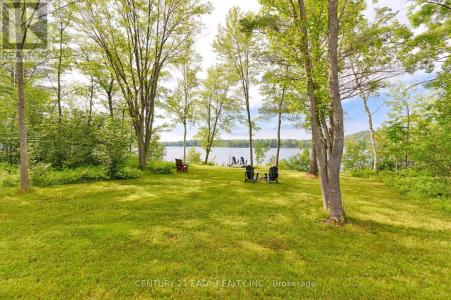 91 MUSKIE LANE, North Algona Wilberforce, Ontario K0J 1X0, CANADÁ