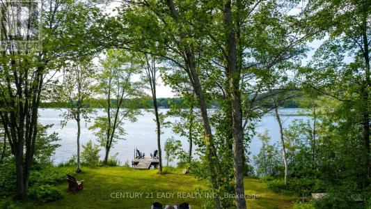 91 MUSKIE LANE, North Algona Wilberforce, Ontario K0J 1X0, Canada