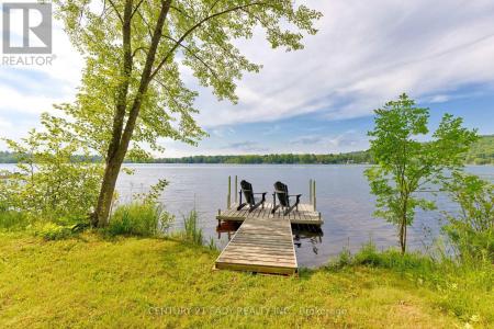91 MUSKIE LANE, North Algona Wilberforce, Ontario K0J 1X0, CANADÁ