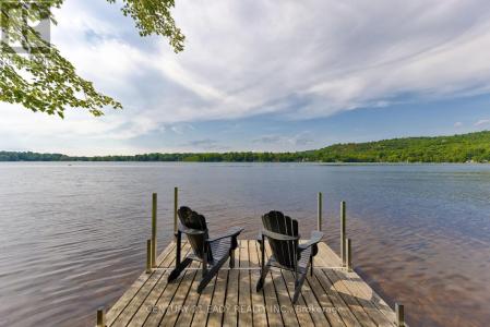 91 MUSKIE LANE, North Algona Wilberforce, Ontario K0J 1X0, CANADÁ