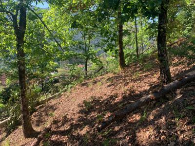 Terras De Bouro, 브라가 4845-075, 포르투갈