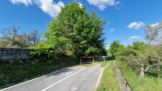 Vouzela, Viseu 3670-193, Portugal