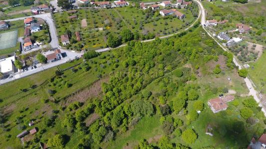 Vouzela, Viseu 3670-193, Portugal