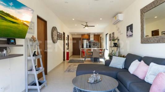Don Alberto 3502,, Los Cabos, Kalifornia Dolna Południowa 23470, Meksyk