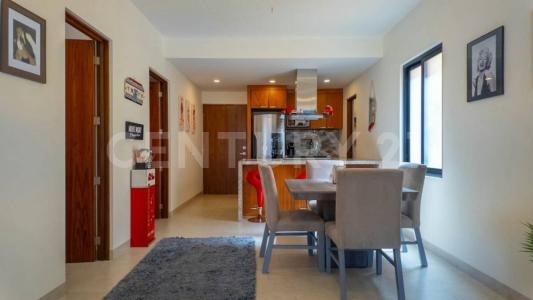 Don Alberto 3502,, Los Cabos, Kalifornia Dolna Południowa 23470, Meksyk
