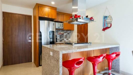 Don Alberto 3502,, Los Cabos, Kalifornia Dolna Południowa 23470, Meksyk