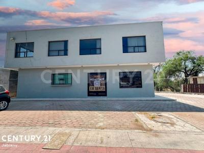 Irapuato, Guanajuato 36800, Mexico