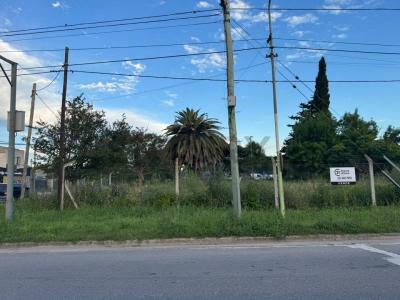 Dr Ruiz y Miguens S/N, Magdalena, Buenos Aires (fuera De GBA) 00001, 아르헨티나