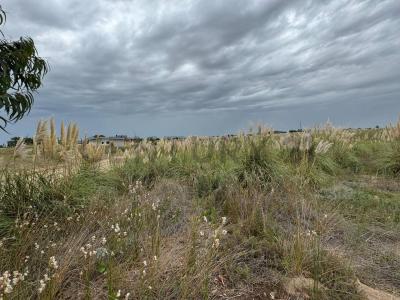 Km 427 de Ruta Provincial 11 , Villa Gesell, Buenos Aires Costa Atlántica B7165, Argentina