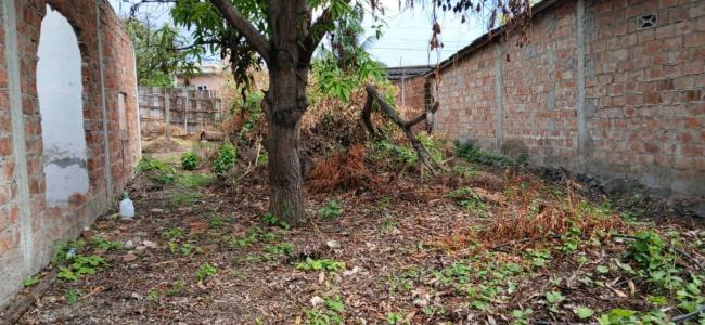 Barrio Altamira S/N, Manta, Manabí 00001, Équateur