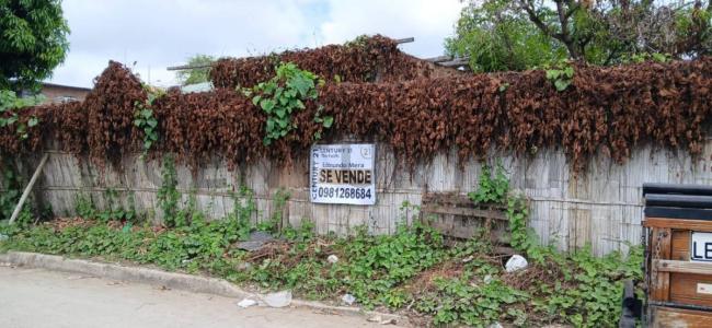 Barrio Altamira S/N, Manta, Manabí 00001, Ecuador