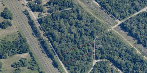 8637 N Bellflower Way, Crystal River, Florida 34428, Amerika Birleşik Devletleri