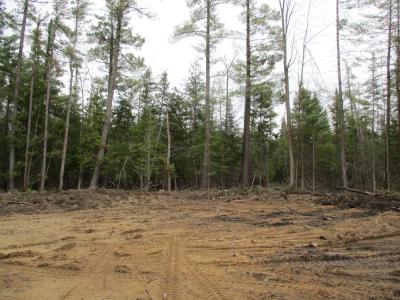 LOTS 71-75 Evergreen Drive, Grayling, Michigan 49738, USA