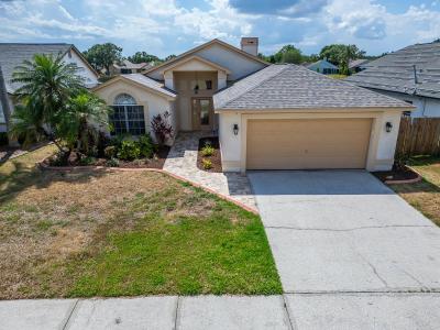 1601Westerly Dr, Brandon, Florida 33511, USA