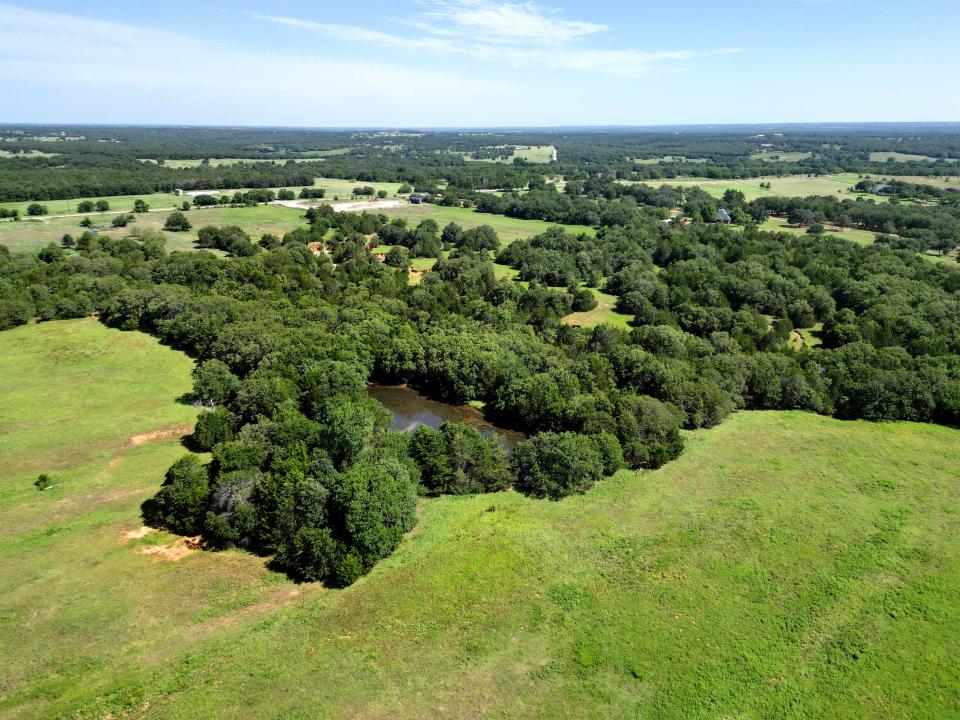 N TBD FM 1655, Alvord, Texas 76225, HOA KỲ