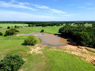 N TBD FM 1655, Alvord, Texas 76225, HOA KỲ