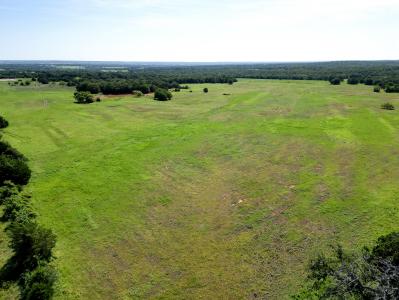N TBD FM 1655, Alvord, Texas 76225, HOA KỲ