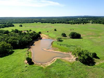 N TBD FM 1655, Alvord, Texas 76225, HOA KỲ