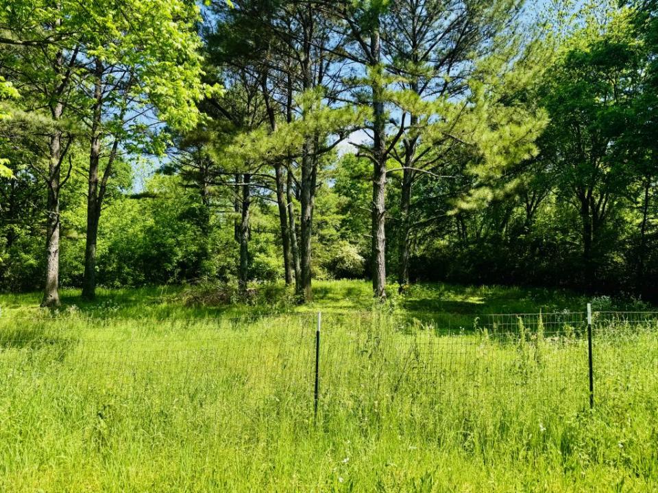 Lot 17 Acorn Hill Circle, Athens, אלבמה 35611, ארצות הברית של אמריקה