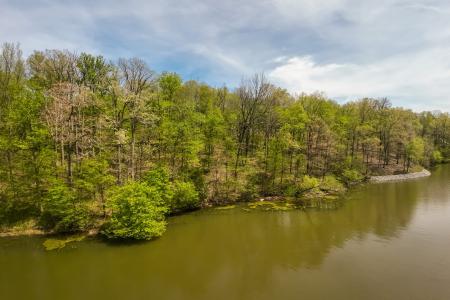Lots 142 & 143 Cherry Point, Goreville, Illinois 62939