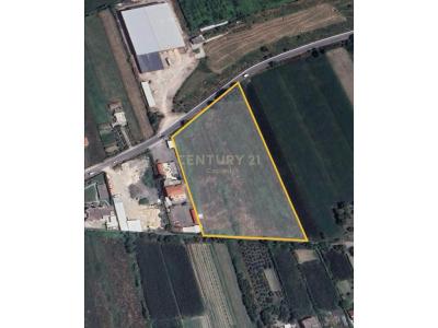 Periferia Vorë, Vorë, Albania