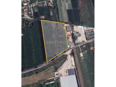 Periferia Vorë, Vorë, Albania