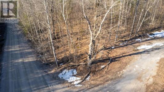 02 MINEVIEW ROAD, Whitewater Region, Ontario K0J 1Y0, Canada