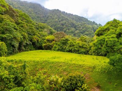 Tres Ríos Puerto Cortés Osa, Puntarenas 00001, Costa Rica