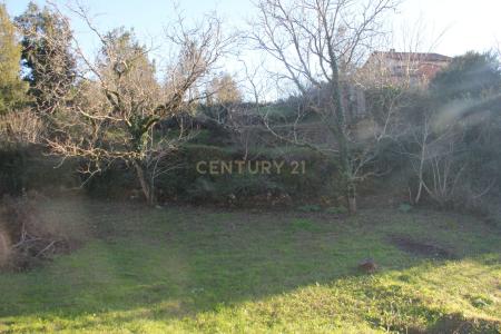 Condeixa A Nova, Coimbra 3150-313, Portugal