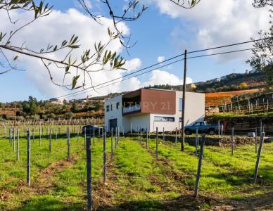 Tabuaço, Viseu 5120-063, Portugal