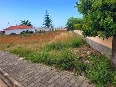 Porto Santo, Porto Santo 9400-132, Portugal