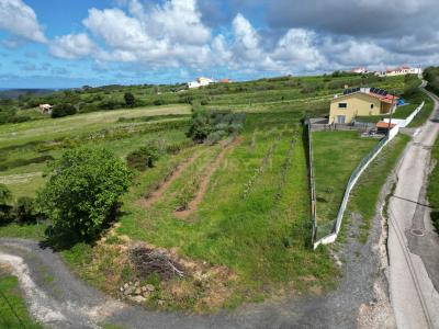 Alcobaça, Leiria 2460-302, Portugal