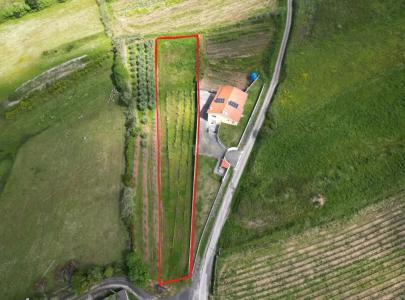 Alcobaça, Leiria 2460-302, Portugal