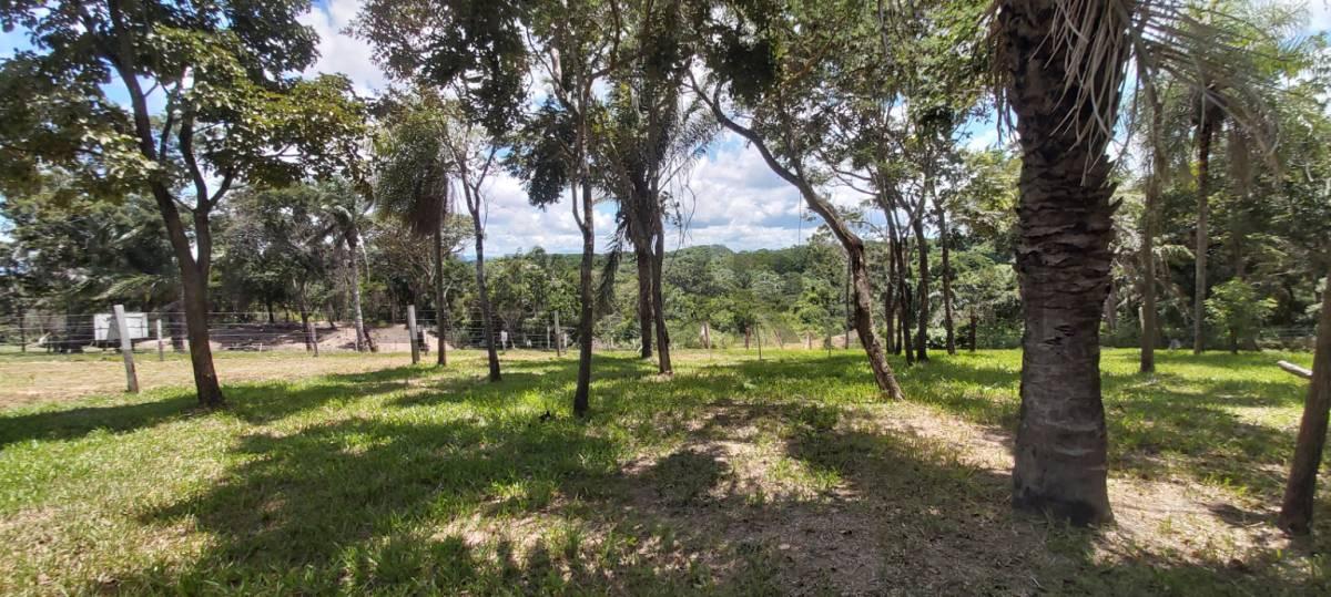 Carretera a Porongo , Oeste, Santa Cruz 00001, 玻利維亞