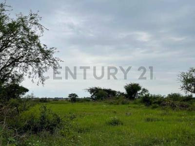 Zona Este Camino a Fridosa, Av/ Camino a Don Lorenzo Mza 44, Este, Santa Cruz 00001, Bolivia