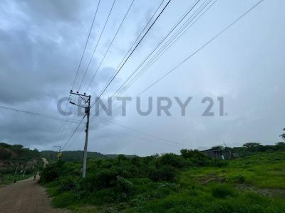 AVENIDA MACHALILLA Y CALLE E 01, Puerto Lopez, Manabí 00001, Équateur