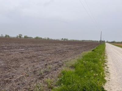 0 NE 1300 Ave., Greenfield, 伊利诺斯州 62044, 美国