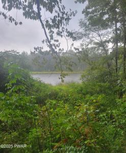 0 Maplewood Road, Lake Ariel, Pennsylvania 18436, USA