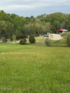 169 Williams Lane Lane, Rogersville, Tennessee 37857, HOA KỲ