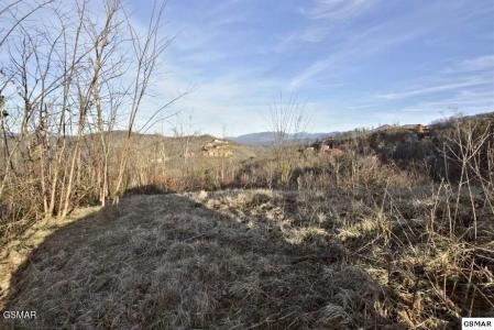 429 Red Hawk Way, Gatlinburg, Tennessee 37738, États-Unis