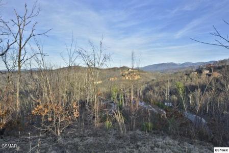 429 Red Hawk Way, Gatlinburg, 테네시 37738, 미국