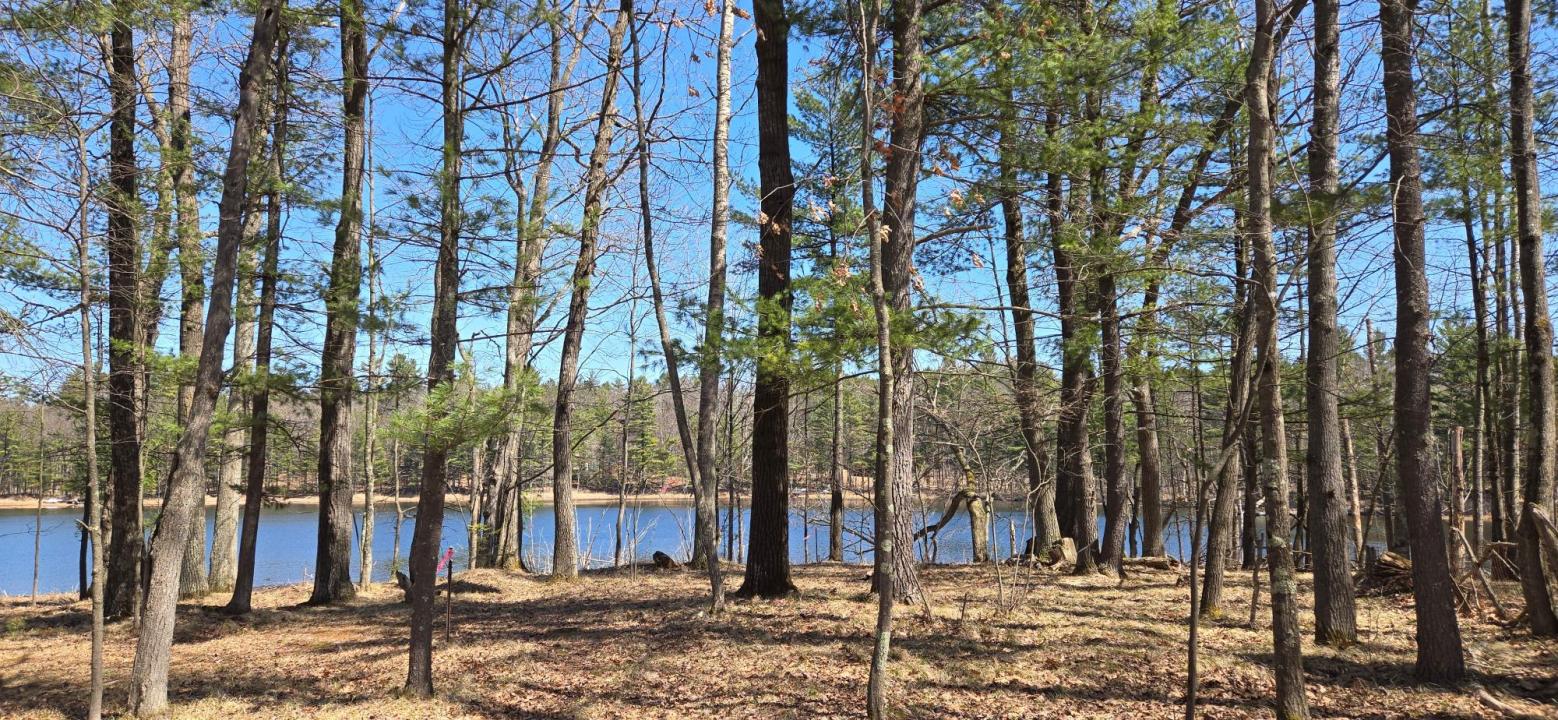 Lot 1 North Farming Rd, Arbor Vitae, Wisconsin 54568