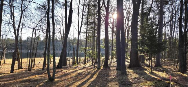 Lot 1 North Farming Rd, Arbor Vitae, Wisconsin 54568