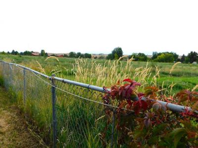13210 Highway 65, Eckert, Colorado 81418, USA