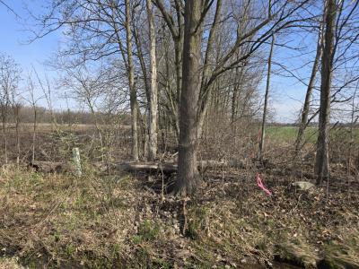 0 Meskill (Lot D) Road, Columbus Twp., Michigan 48063, Stati Uniti