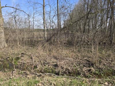 0 Meskill (Lot D) Road, Columbus Twp., Michigan 48063, Stati Uniti
